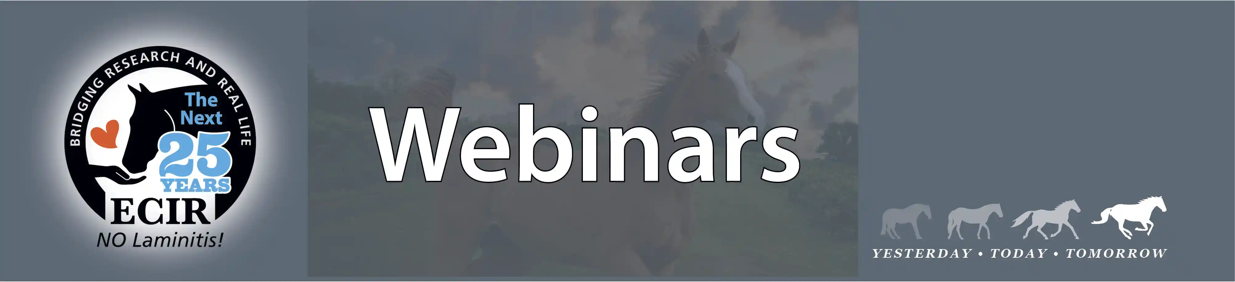 ECIR Webinars